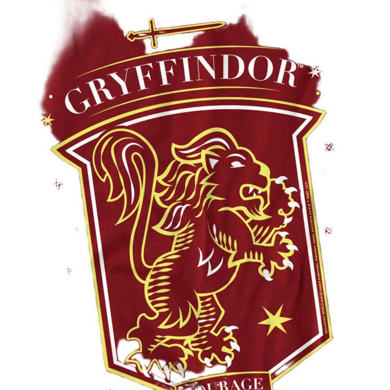 Men's Hand-Drawn Gryffindor Shield Graphic T-Shirt