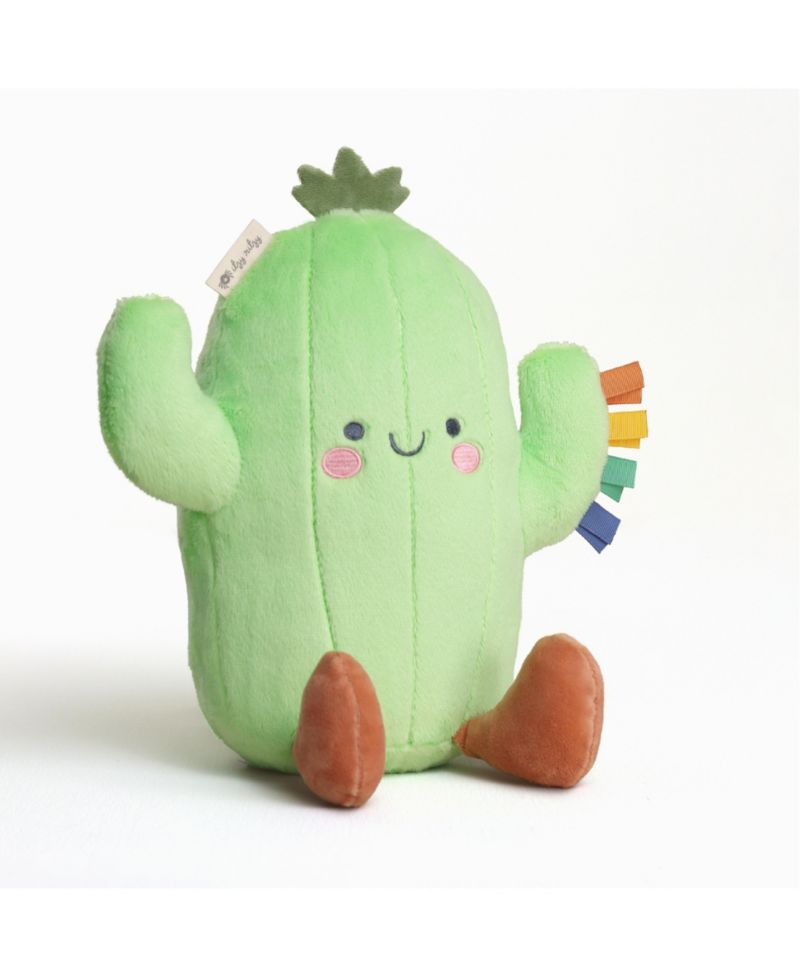 Baby Sweetie Snuggles Cactus