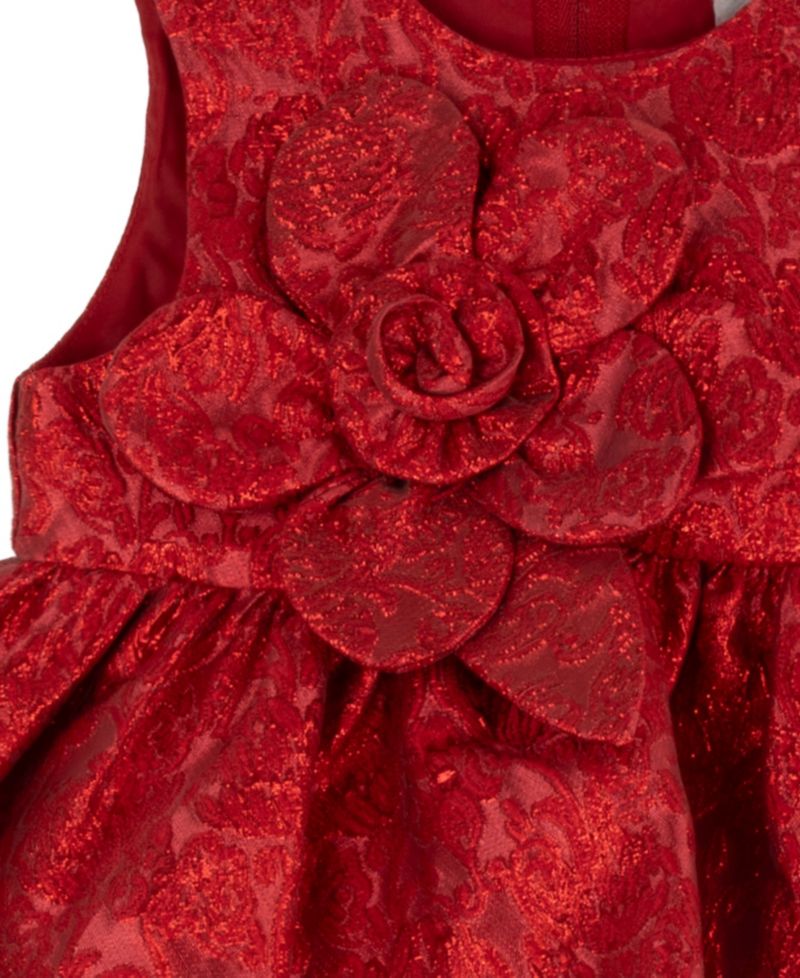 Baby Girls' Brocade 3D Flower Dress
