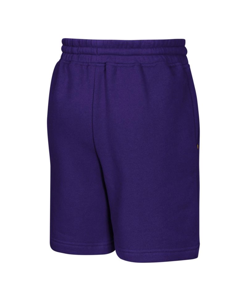 Big Boys and Girls Purple Minnesota Vikings Audible Fleece Shorts