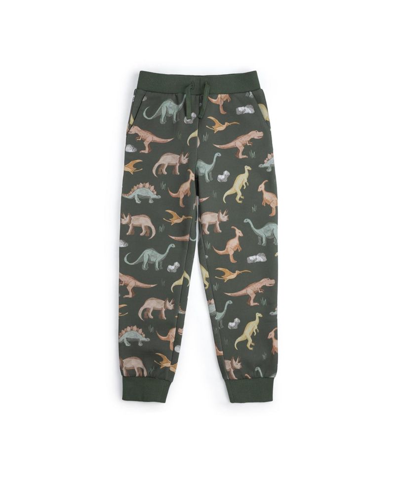 Big Boys Dinosaurs Rock Jogger