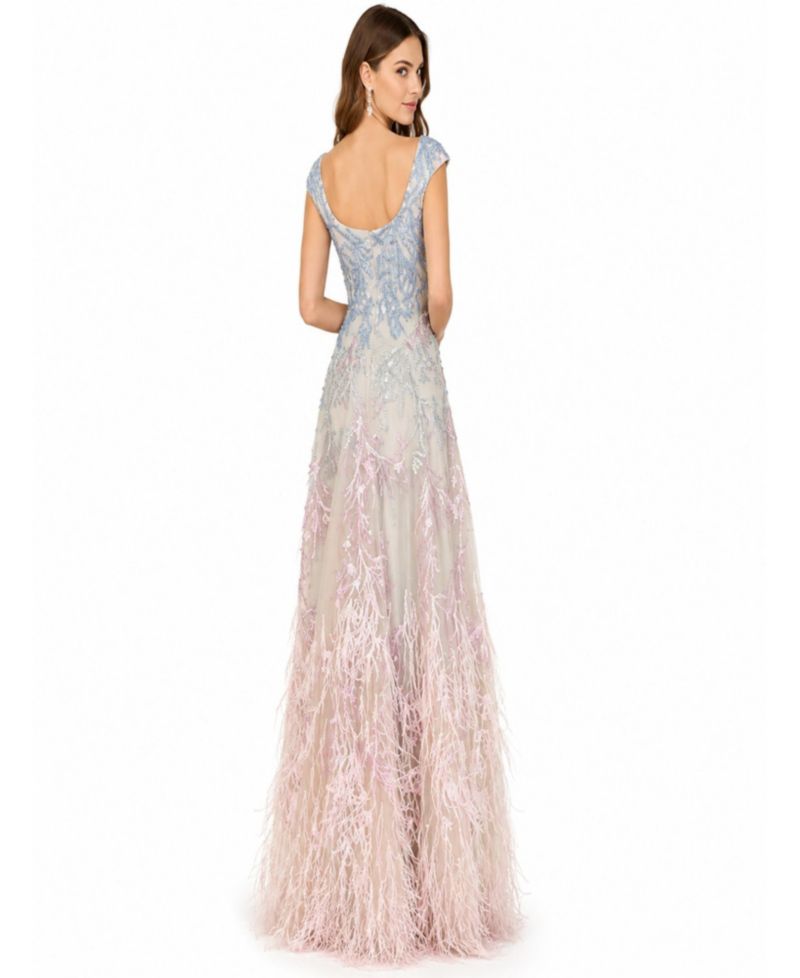 Women's Cap Sleeves Feather Detail Ballgown