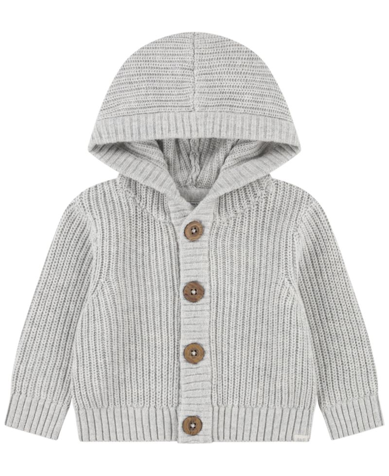 Baby Boys' Hooded Sweater