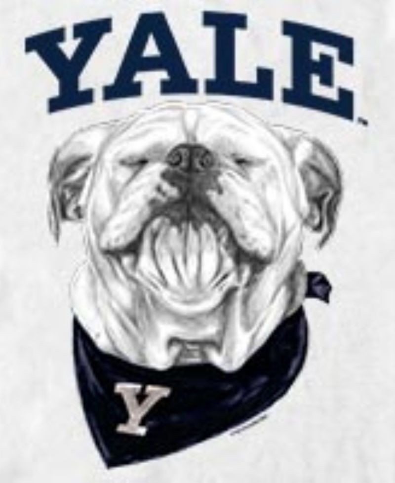 Men's Yale Bulldogs Mascot Graphic T-Shirt