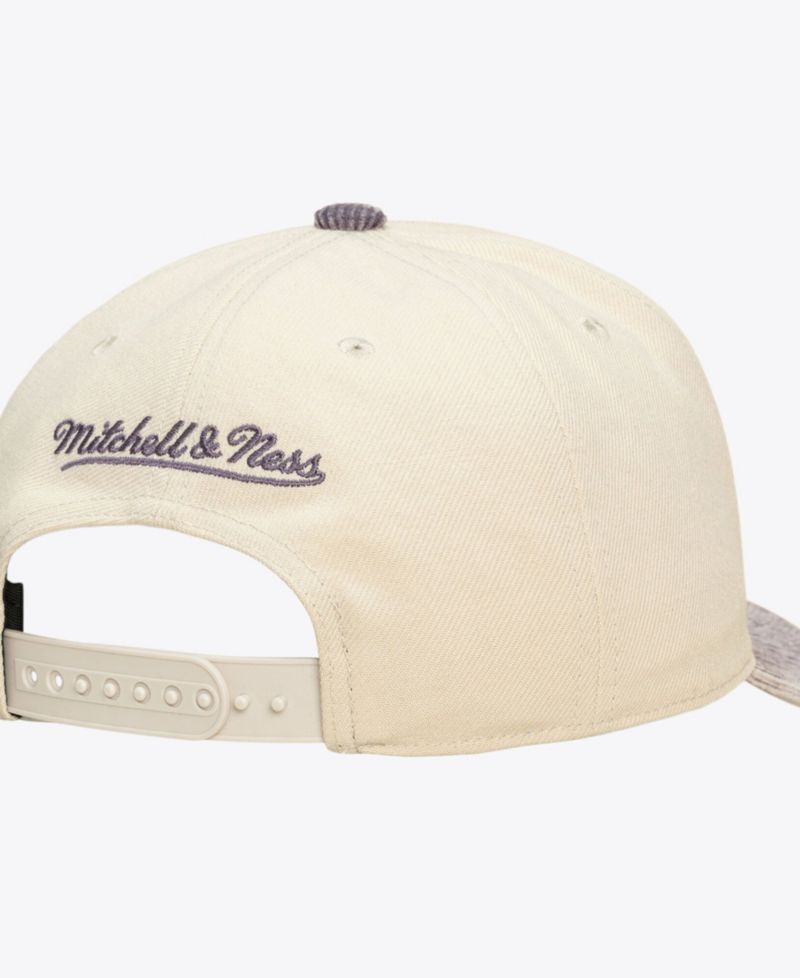 Men's and Women's Los Angeles Lakers Faded Pro Snapback Hat