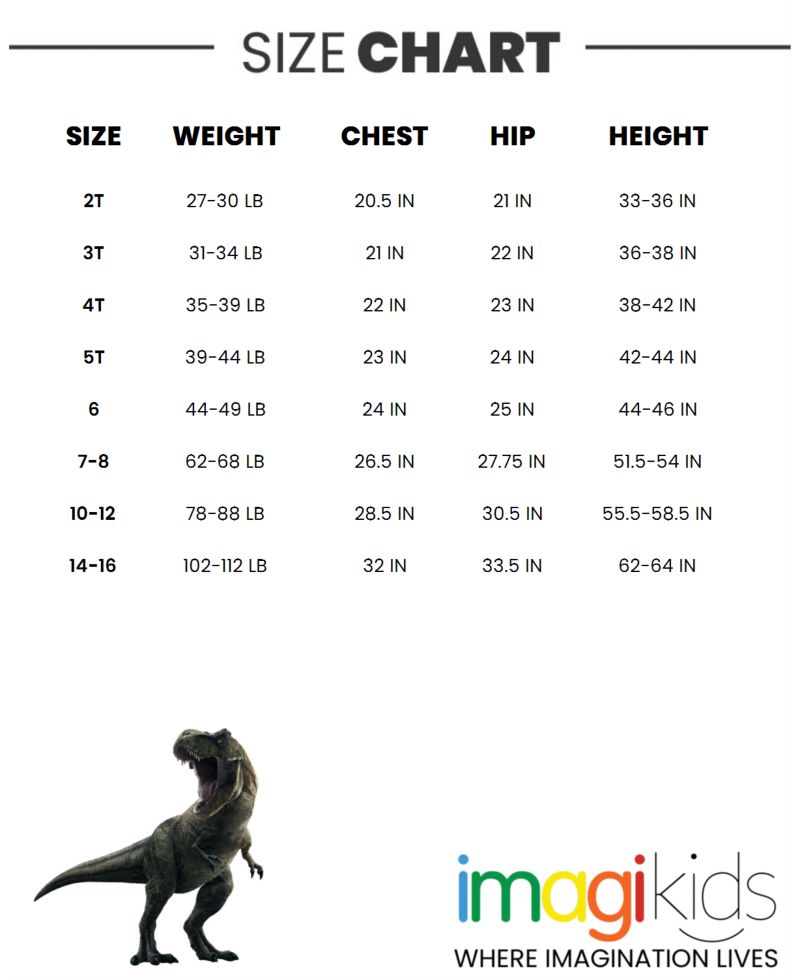 Boy's(6-20)Jurassic World Dinosaur T-Rex Fleece Pullover Hoodie and Pants Outfit Set
