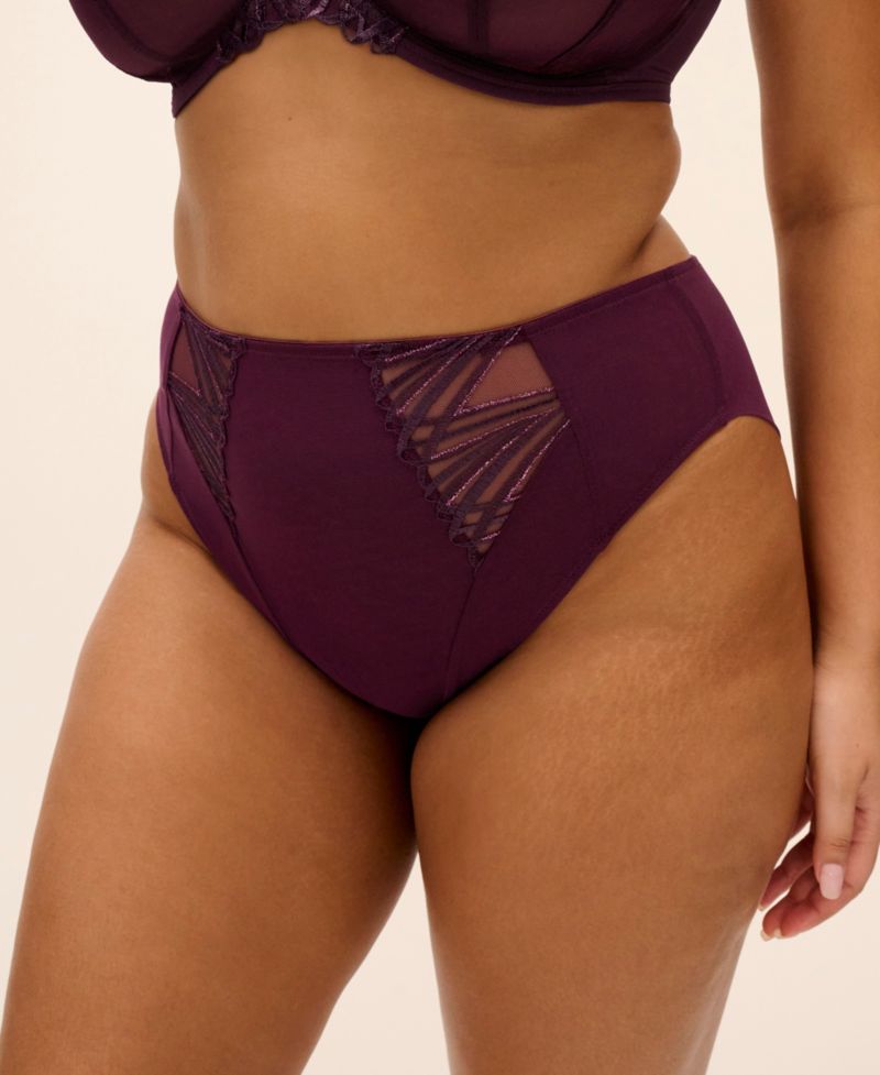 Plus Size Reja High-waisted Full-Coverage Brief Panty