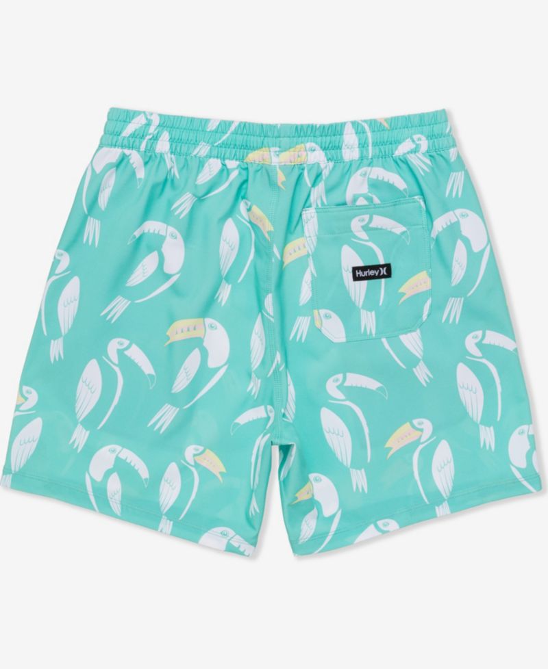 Men's Cannonball Volley Boardshorts
