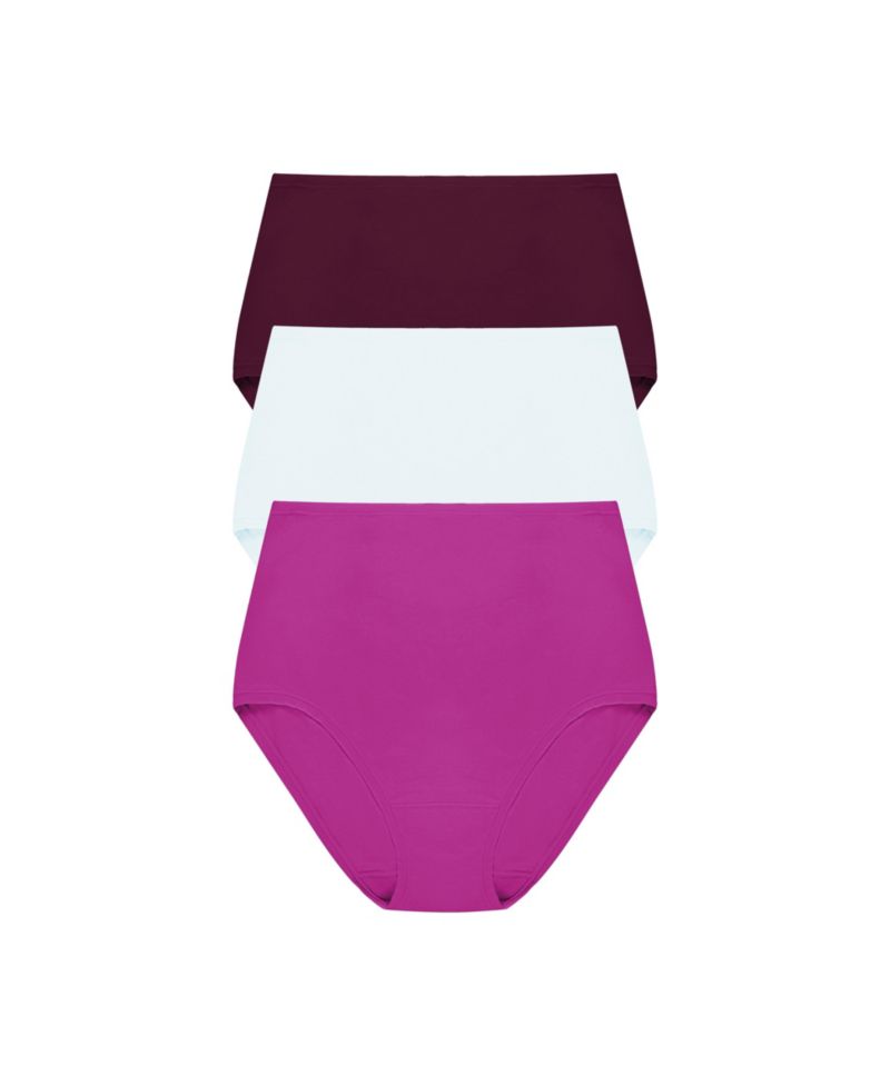 Women's Bliss Cotton High Waist Brief 3-Pack