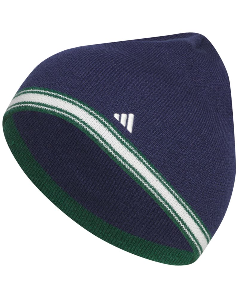 Men's Stripe Skully Beanie
