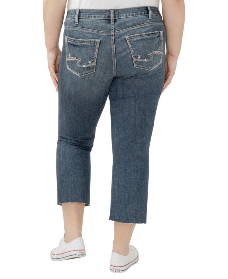 Plus Size Suki Mid Rise Curvy Fit Flare Jeans