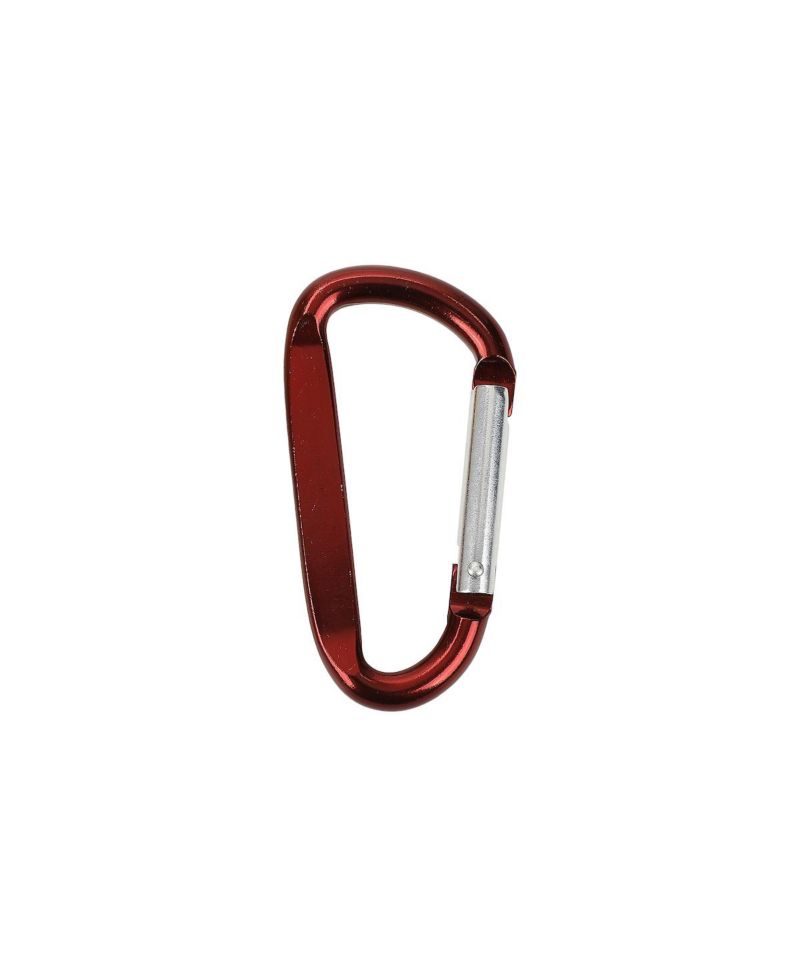 Logo Carabiner Clip Keychain