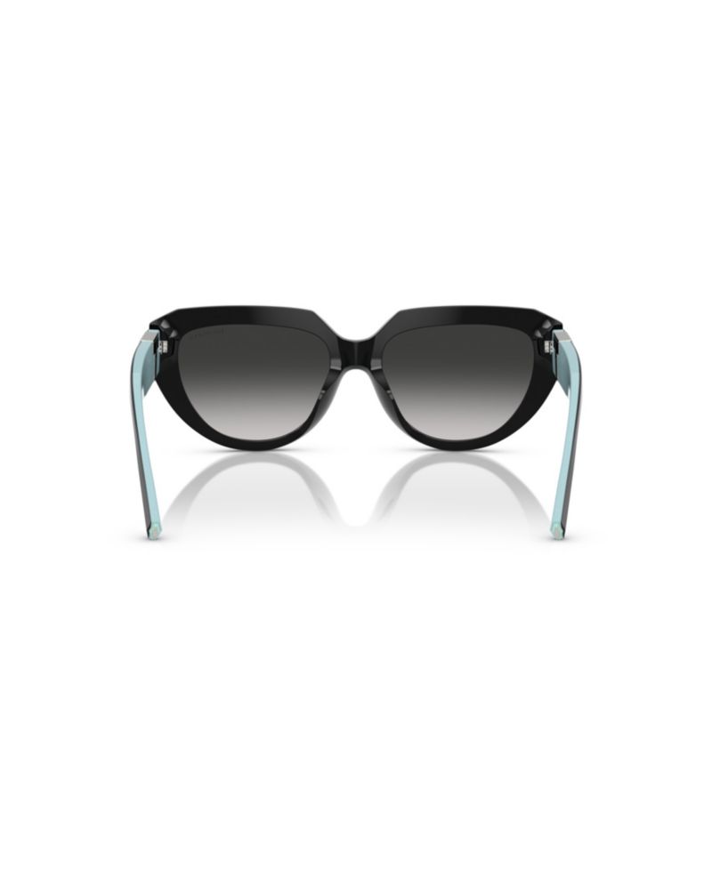 Women's Sunglasses, TF4238U