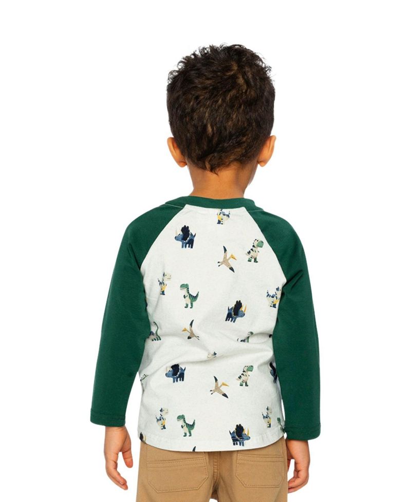 Baby Boys (12M-24M) Long Sleeve Raglan T-Shirt Dinosaur Print