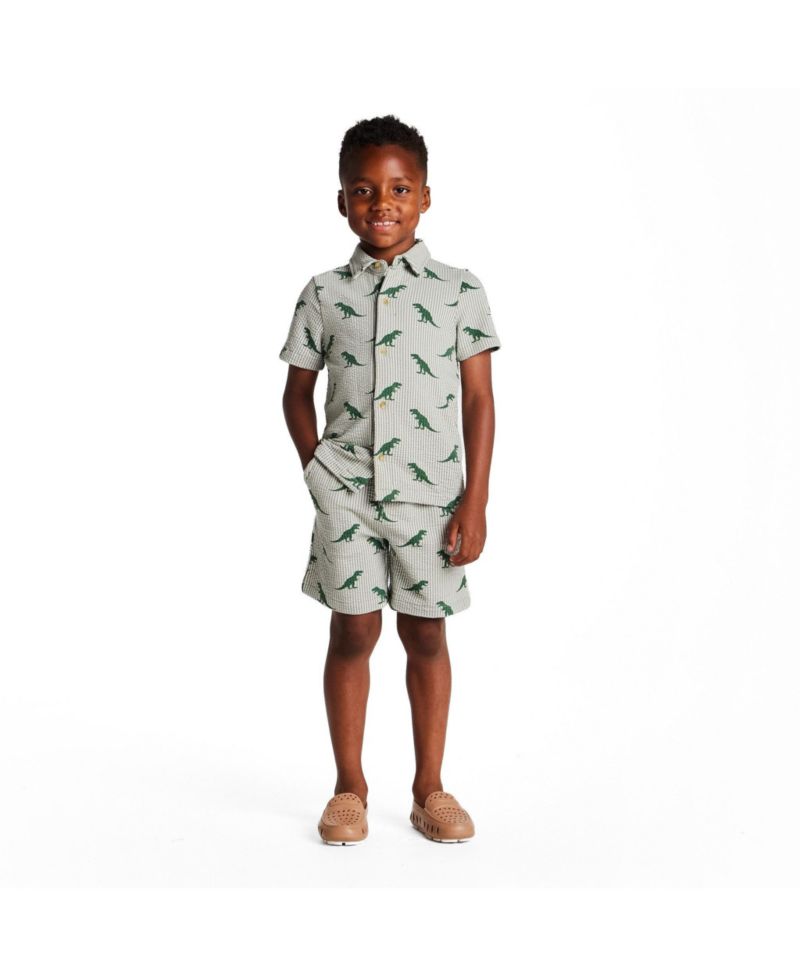 Little Boys Stripe Dino Short Sleeve Cabana Set
