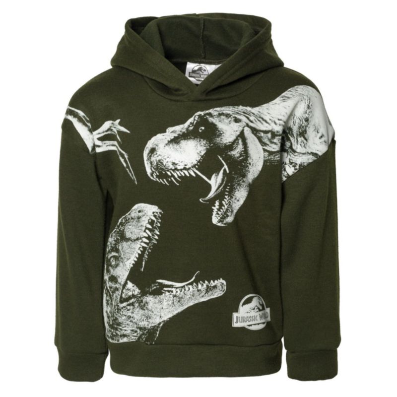 Boys' Fleece Hoodie