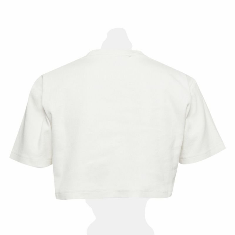 Women's Logo Rib Knit Crop Top
