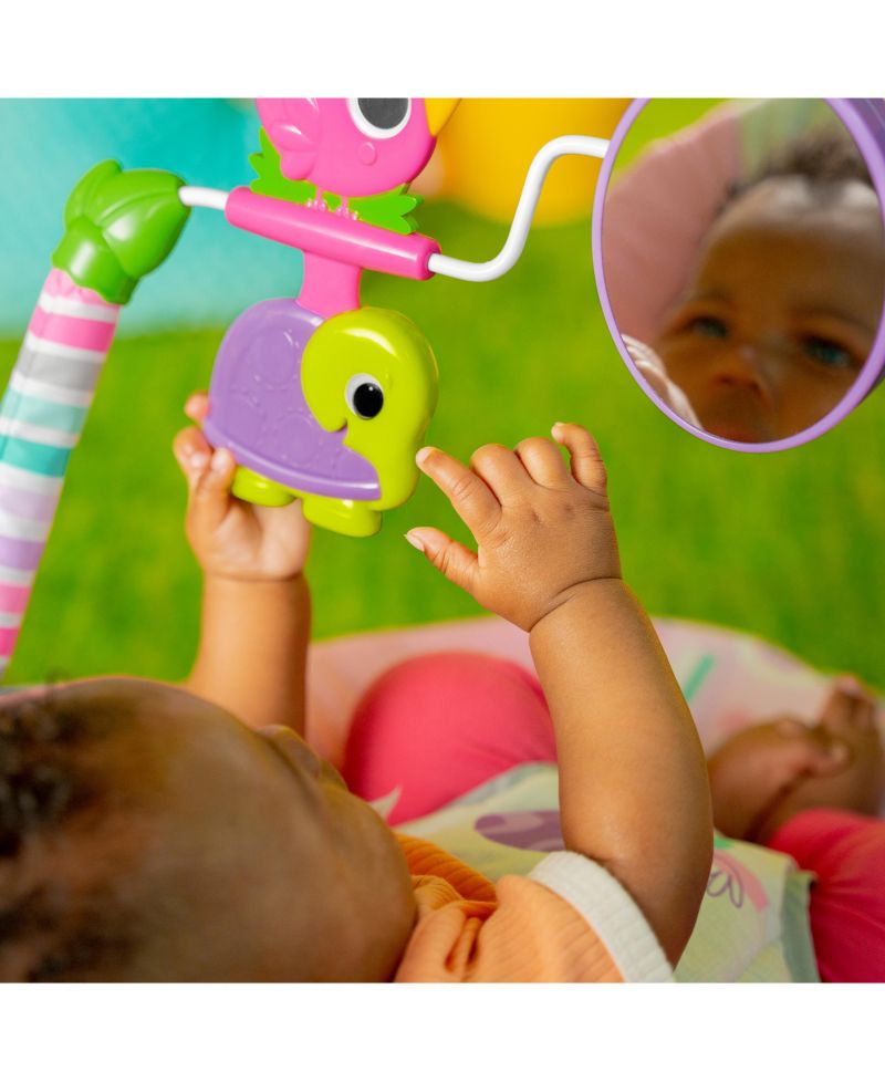 Pink Paradise™ Vibrating Bouncer