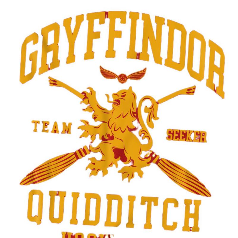 Men's Gryffindor Quidditch Arch T Shirt