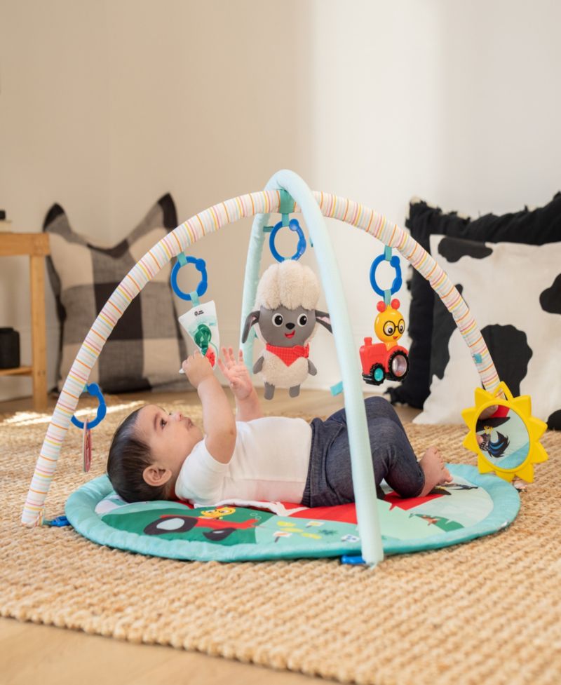 Infant Farm Explorers Happy Harvest Touch Feel Activity Gym