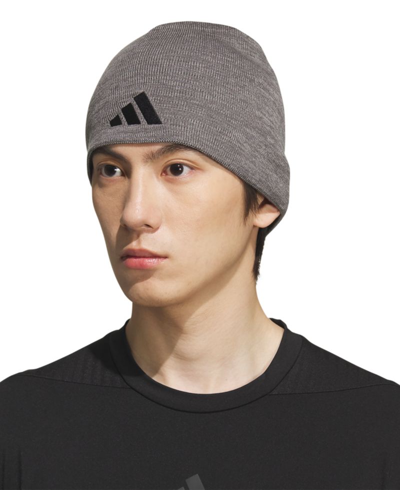 Men's Reversible Skully Beanie