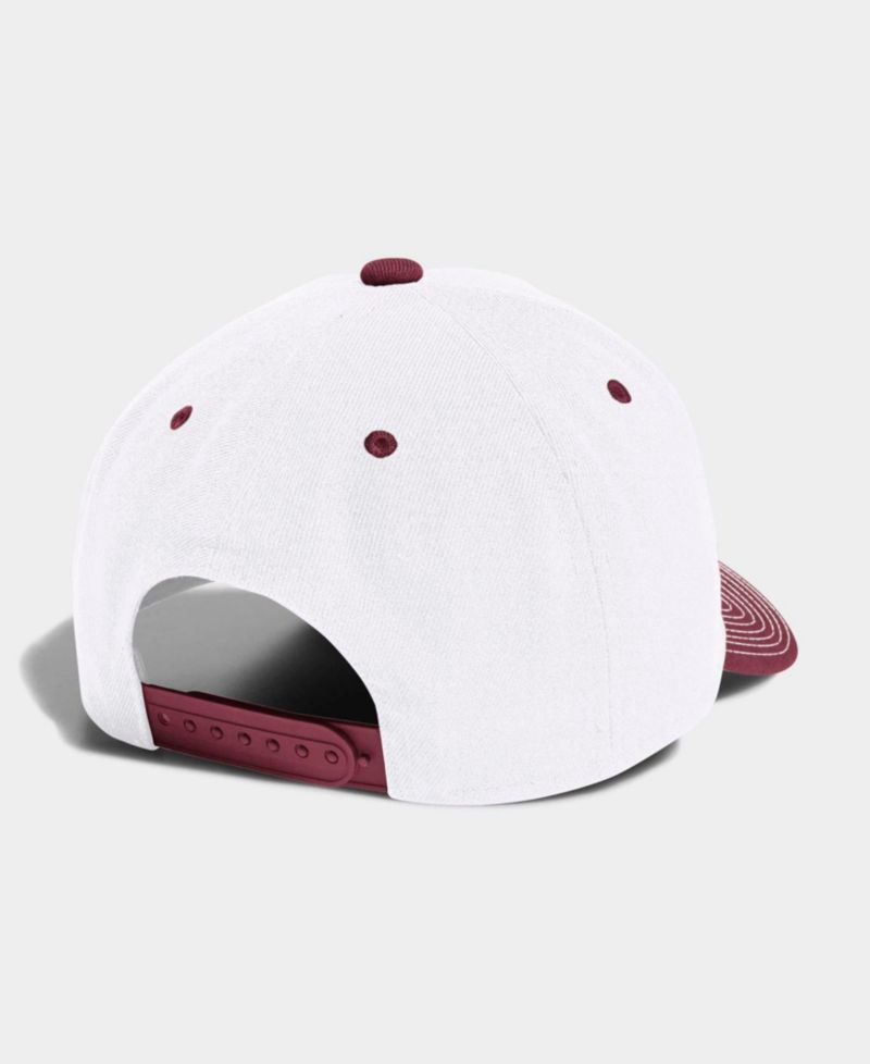 Men's and Women's Texas A&M Aggies Embroidered A-Frame Adjustable Baseball Cap