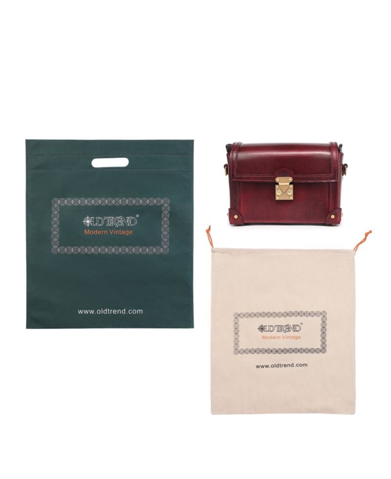 Azalea Vintage Case Crossbody Bag