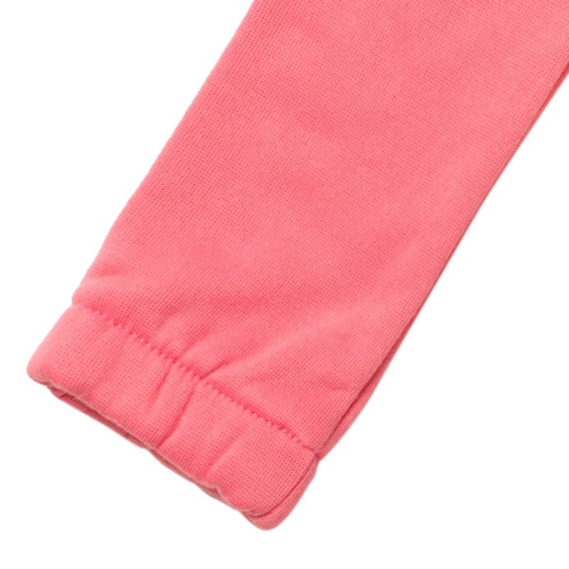 Girls Pullover Hoodie and Fleece Pants Outfit Set