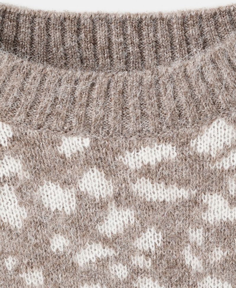 Women's Animal Print Sweater