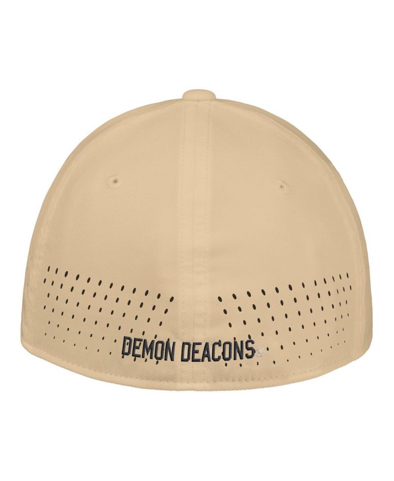 Men's Gold Wake Forest Demon Deacons 2025 On-Field Performance Flex Hat