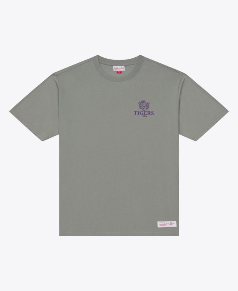 Men's Gray LSU Tigers Core Icon T-Shirt