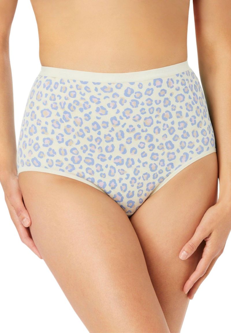 Women's Plus Size Modern Cotton Spandex Brief 3-Pack