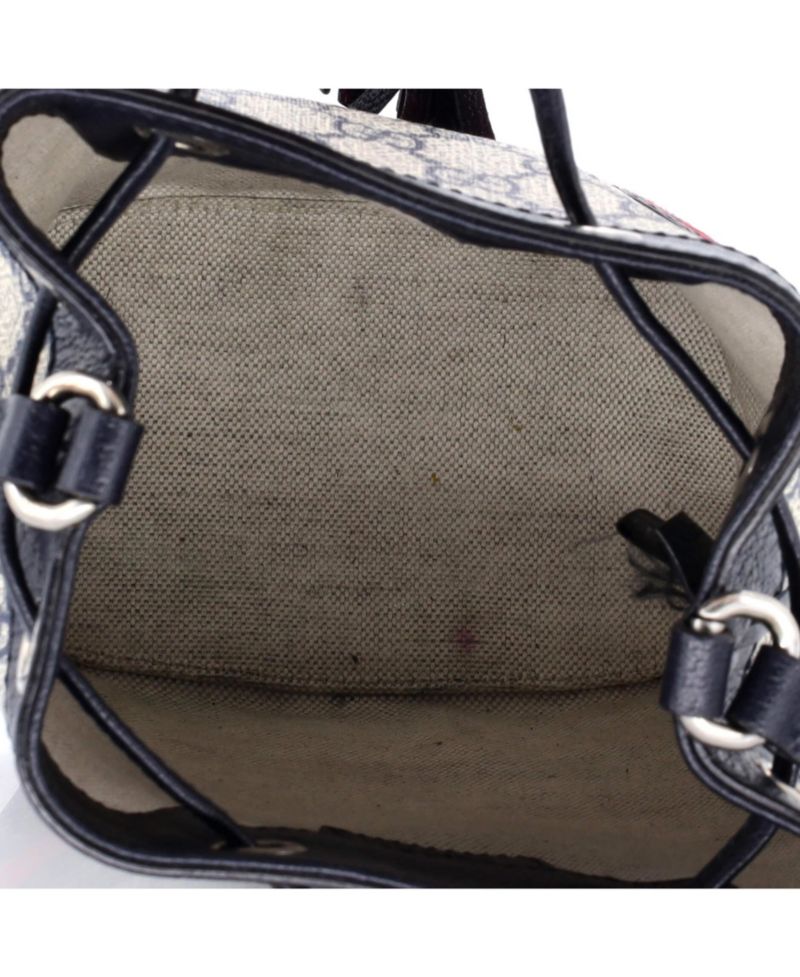 Mini Ophidia Bucket Bag GG Coated Canvas