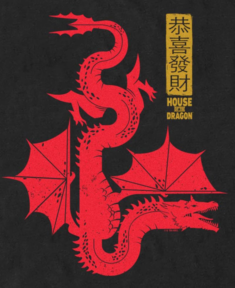 Men's House of the Dragon Caraxes Graphic T-Shirt