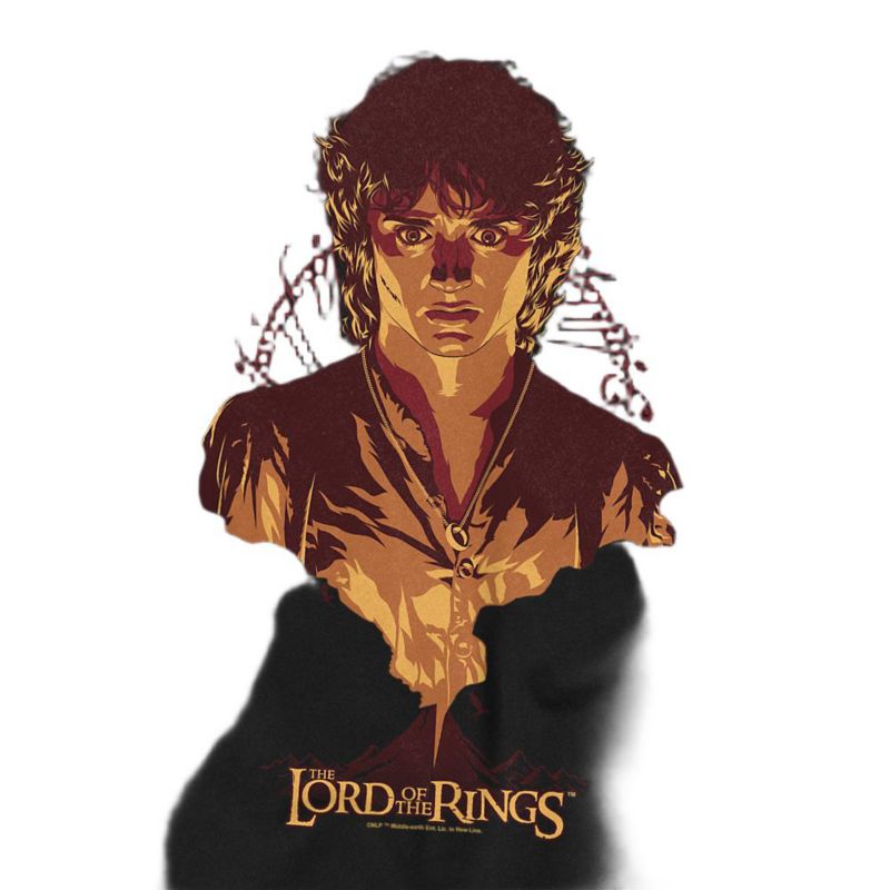 Men's Frodo Mount Doom T-Shirt