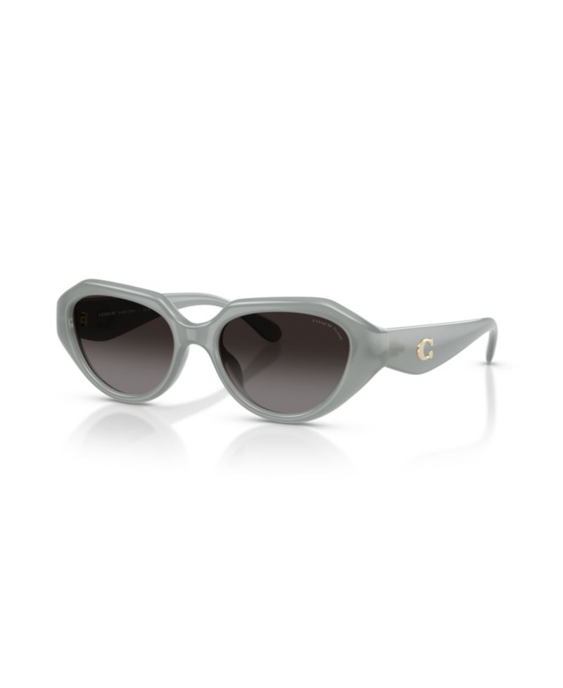 Women's Polarized Sunglasses, CBY77 HC8433U