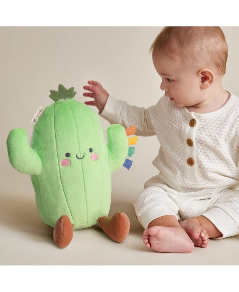 Baby Sweetie Snuggles Cactus