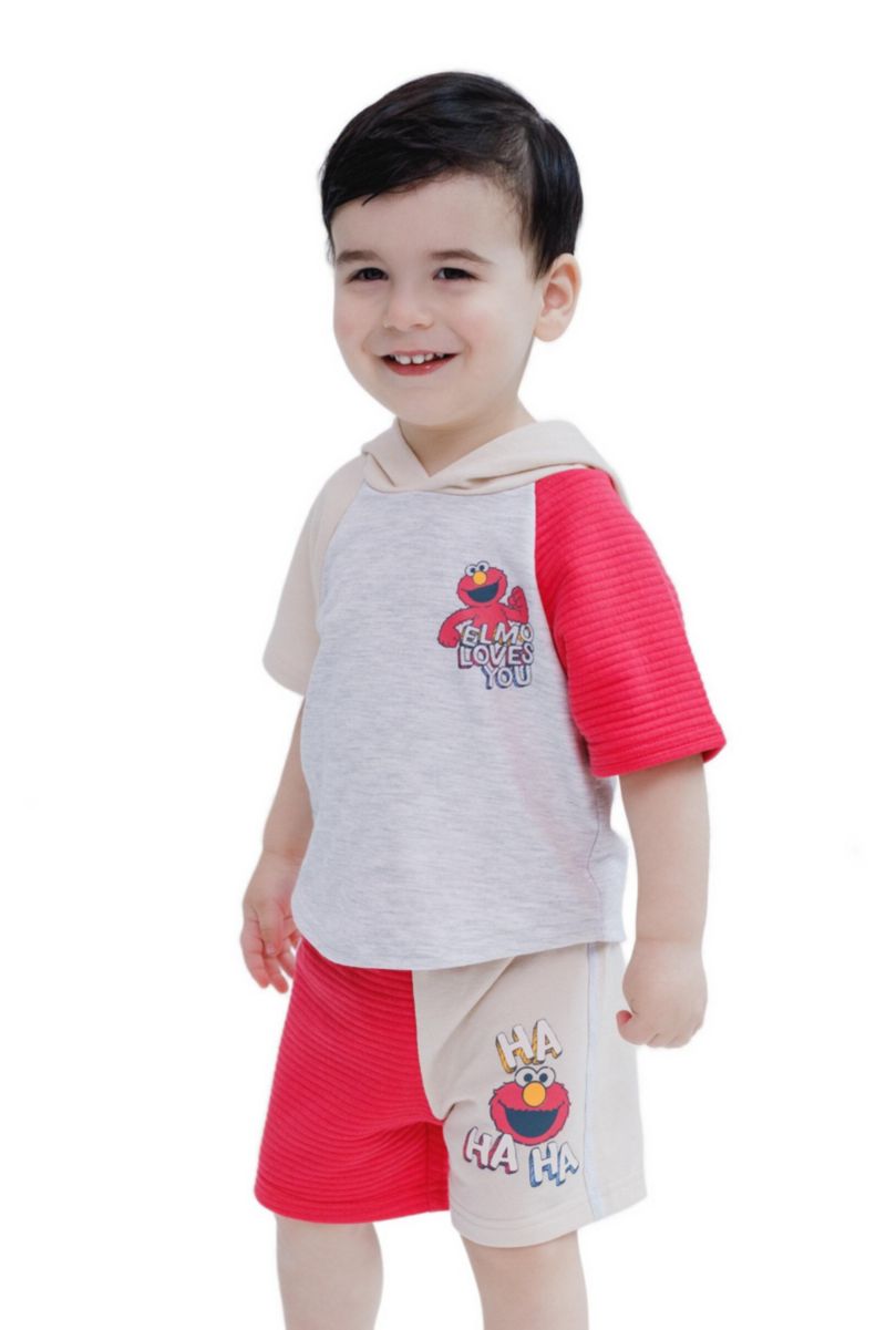 Baby Boys 2-Piece Hooded Tee and Shorts Set