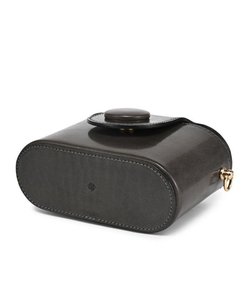 Begonia Vintage Case Crossbody Bag