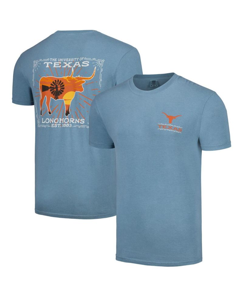 Men's Light Blue Texas Longhorns State Scenery T-shirt