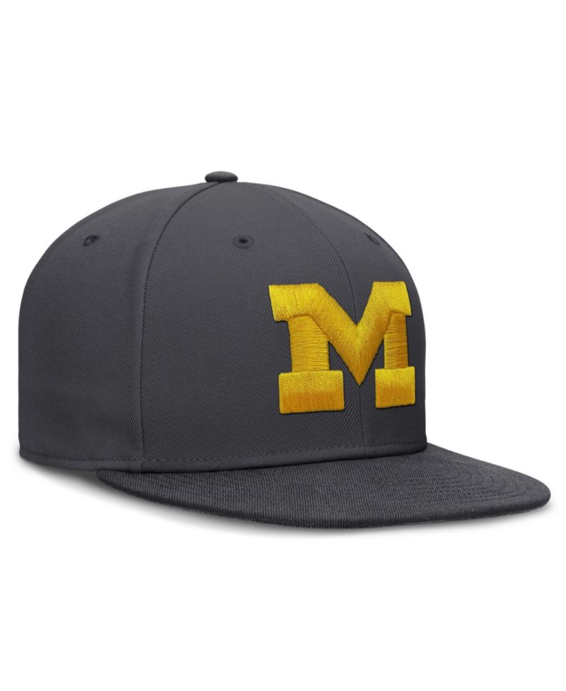 Men's Nike Anthracite Michigan Wolverines Pro Dri-FIT Fitted Hat