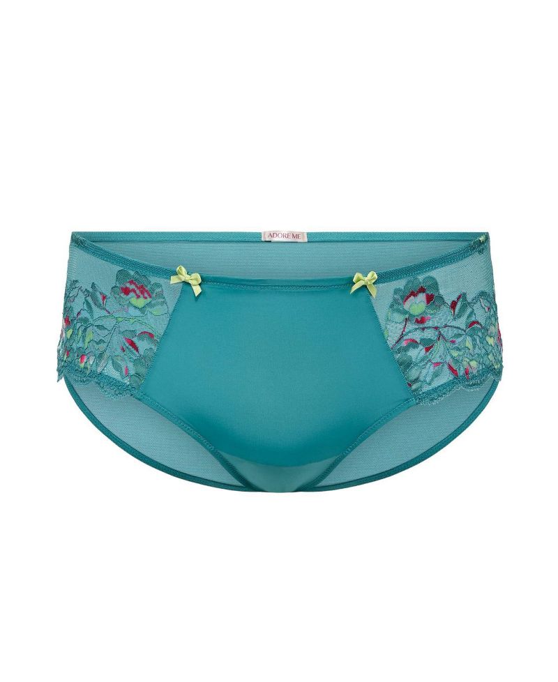 Plus Size Chelsi Hipster Panty
