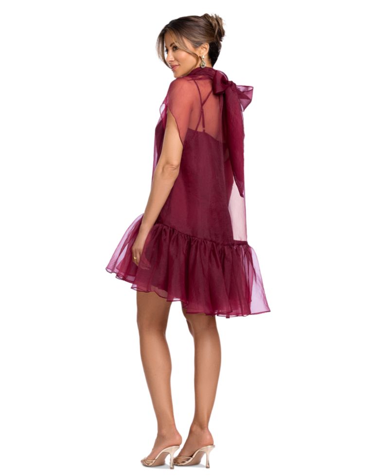 Women's Organza Mock Neck Ruffle Hem Dress