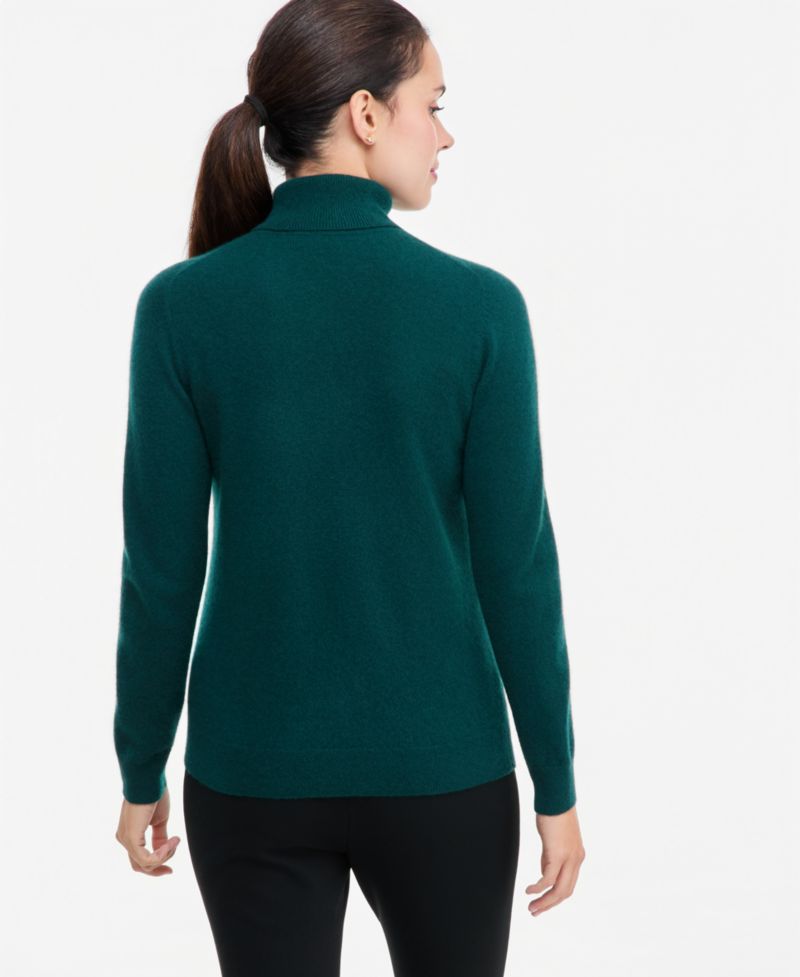 Petite Cashmere Turtleneck Sweater