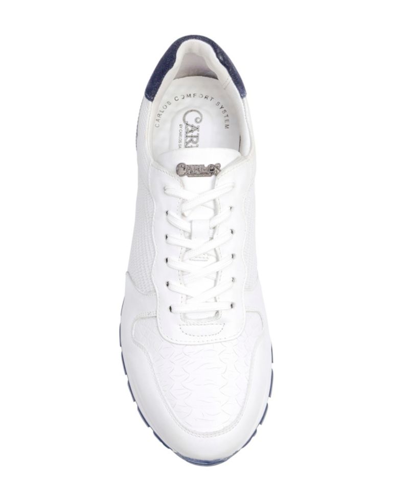 Men's Hazel Reptile Fashion Sneakers