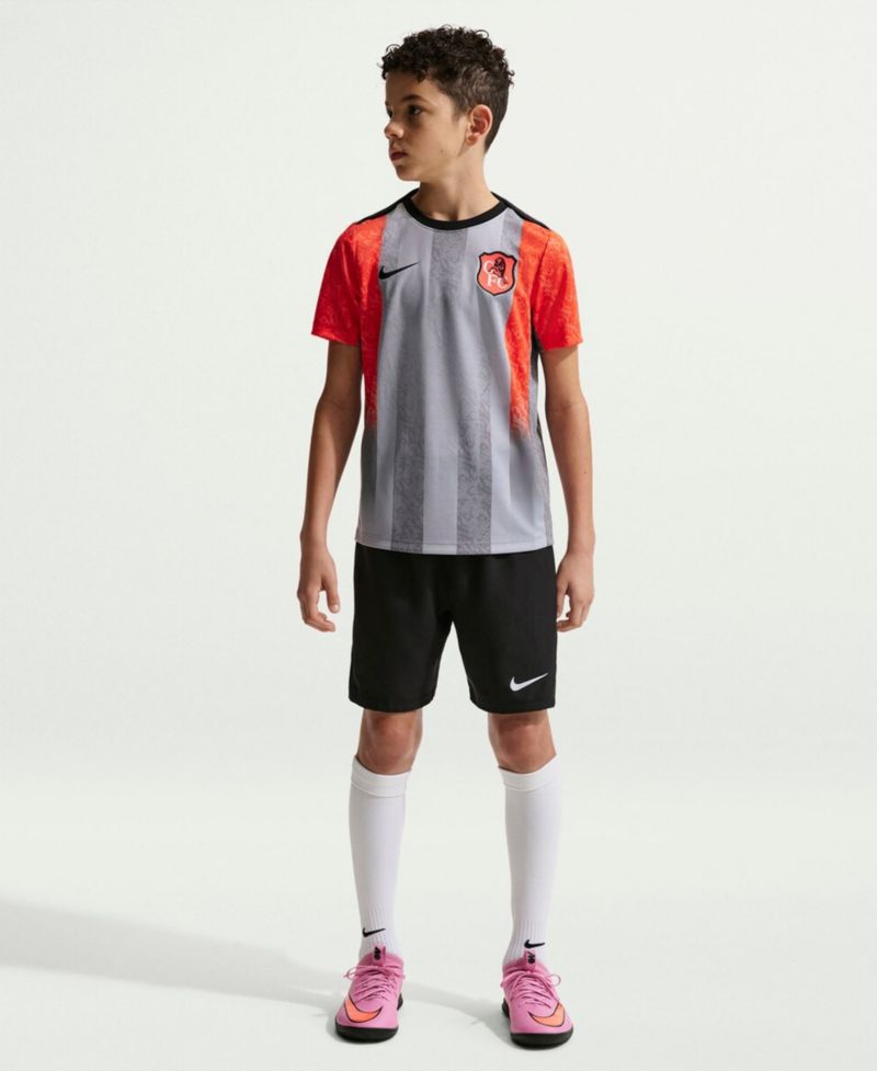 Big Boys and Girls Gray Chelsea 2025/26 Academy Pro Pre-Match Top