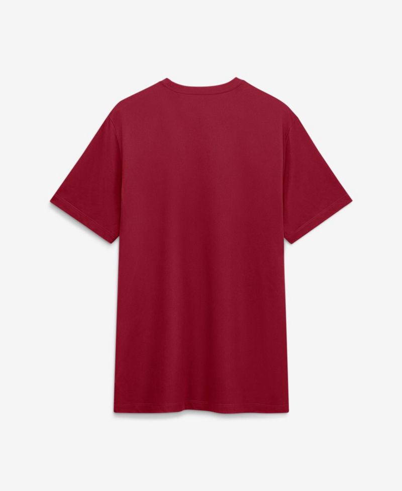 Men's Crimson Oklahoma Sooners Sideline Legend Dri-FIT T-Shirt