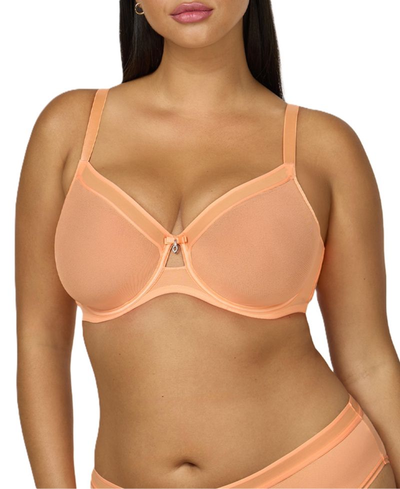 Women's Sheer Mesh Full Coverage Unlined Underwire Bra