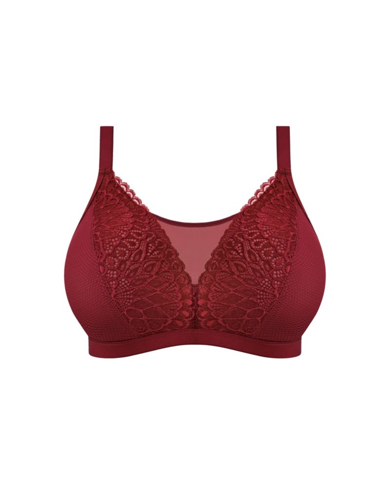 Plus Size Tiernie Wireless Unlined Lace Bralette, EL303317