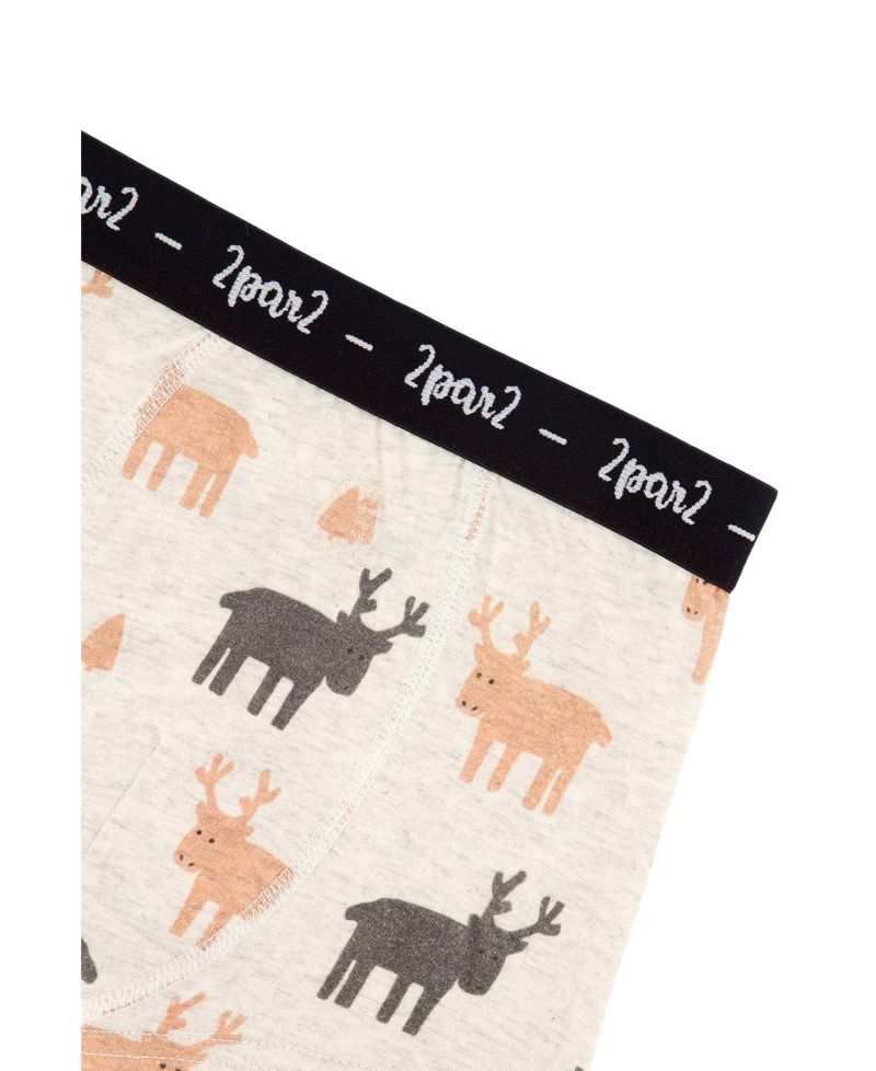 Little and Big Boy (2-5)Boxer Pack Of 3 Holiday Prints